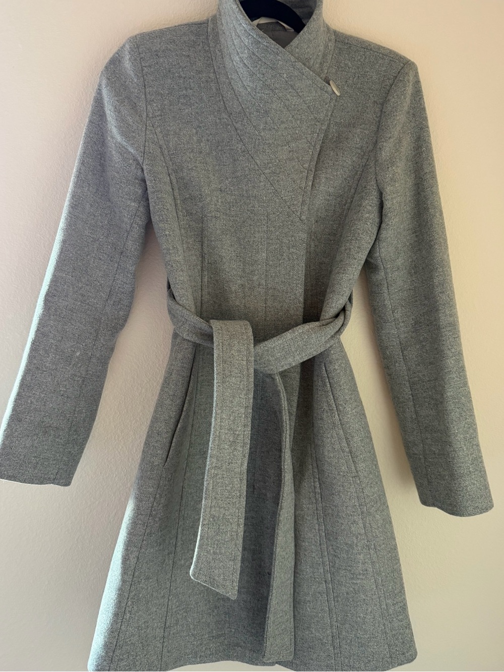 Aritzia Babaton Connor coat